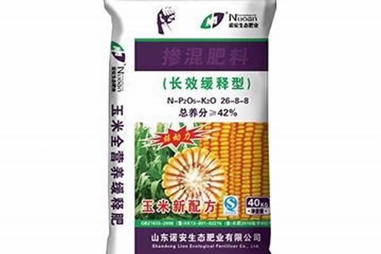 墨兰施什么肥料,墨兰什么时候可以施肥