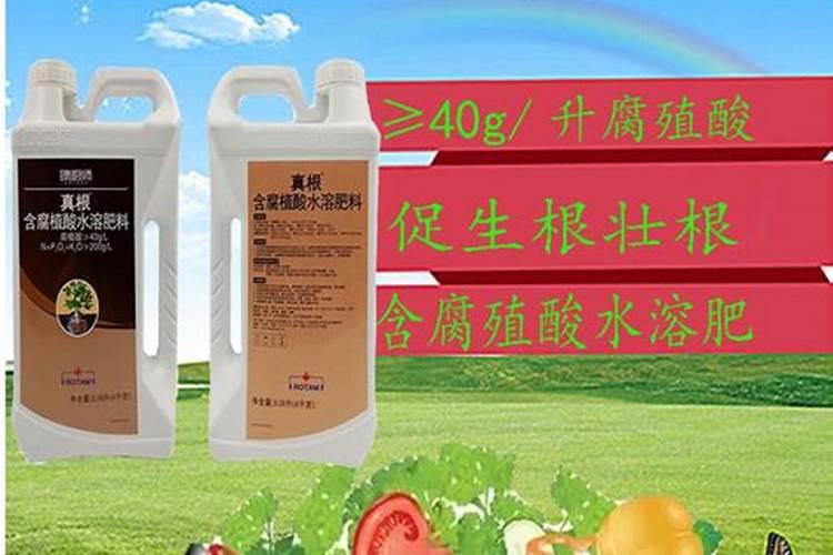鱼塘肥水的最佳方法