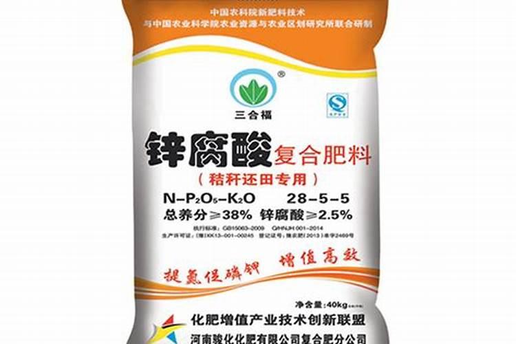 北方露天草莓怎么越冬
