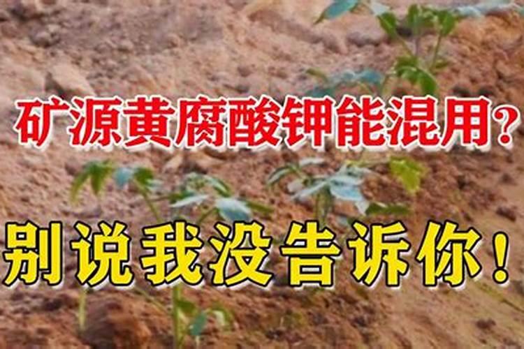 蔬菜追肥时,如果用错了钙肥会造成什么后果？