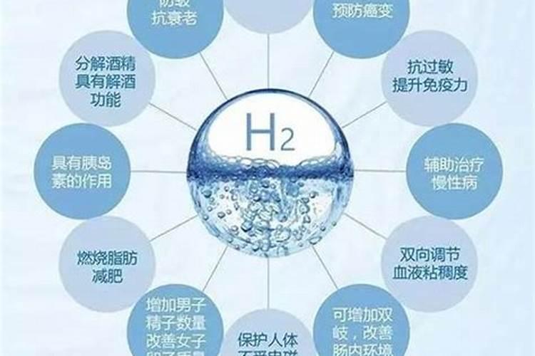 兰花怎么追肥长得根壮叶茂