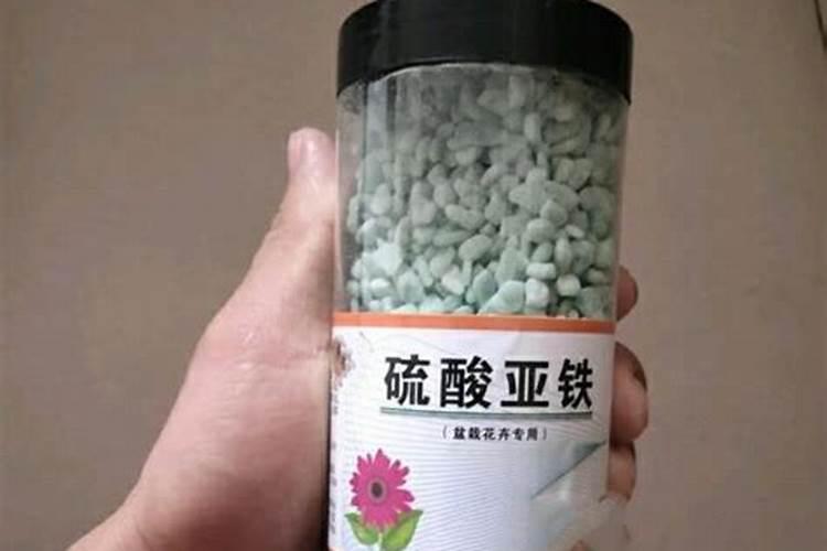 米兰浇什么肥料合适