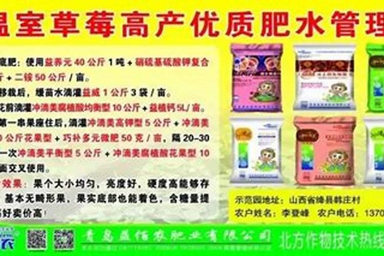 养文竹需要注意什么