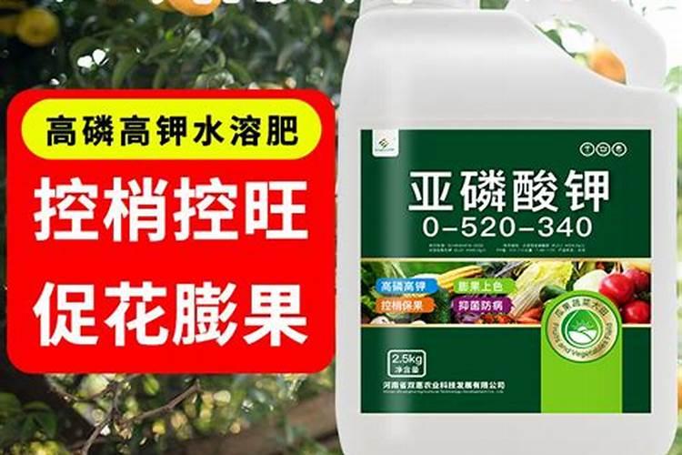 小麦苗弱打什么叶面肥