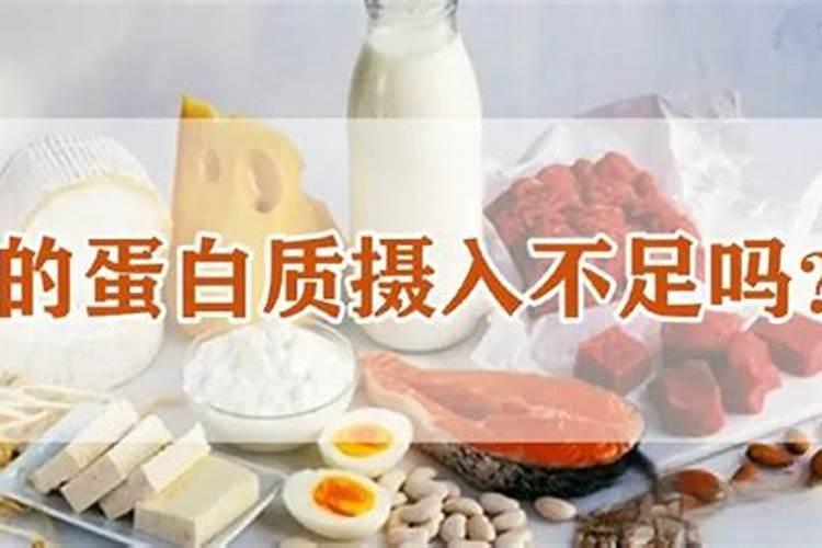 动物蛋白和鱼蛋白的区别