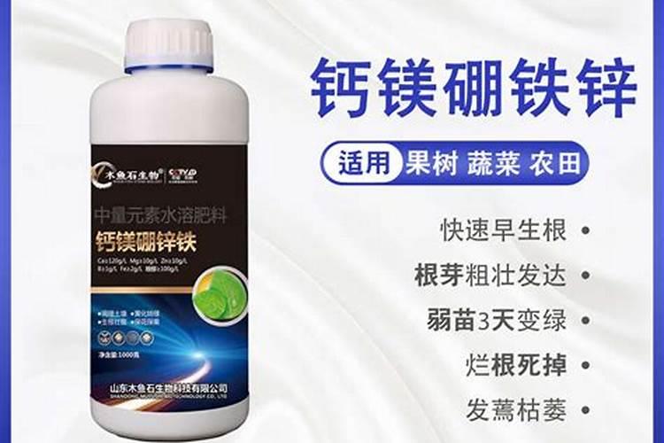 醋莪术的功效与作用及食用方法是什么