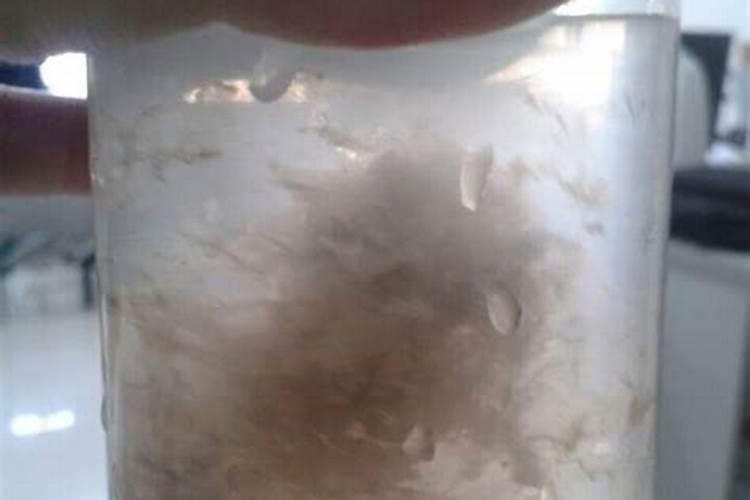 叶子黄了,大家都推荐我使用喜满地水溶肥,说含有植物营养,是真的吗？