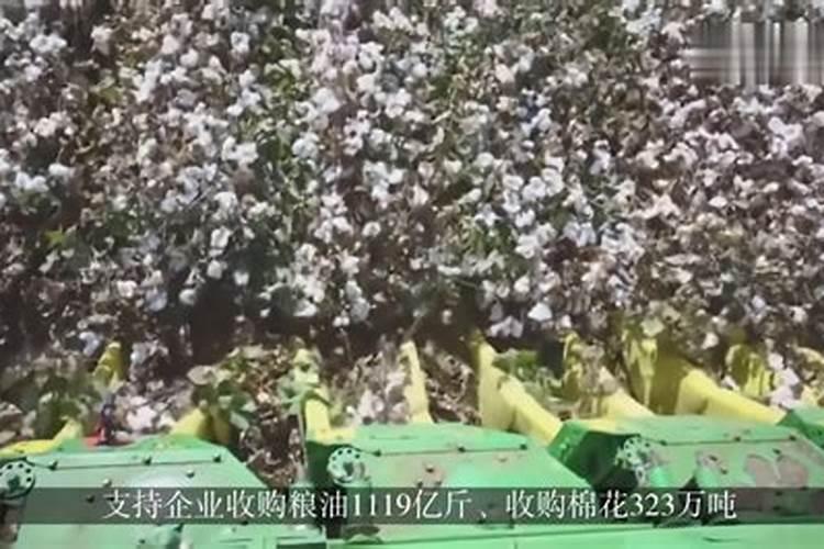 羊粪发酵做有机肥料用什么发酵菌剂好？