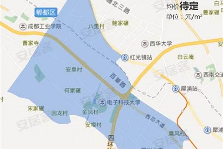 怎样才能在 屋顶种菜