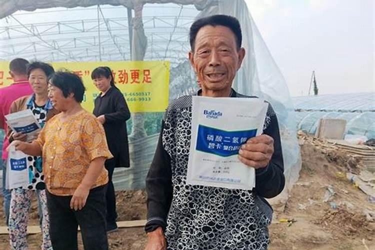 国外进口的叶面肥品牌都有哪些