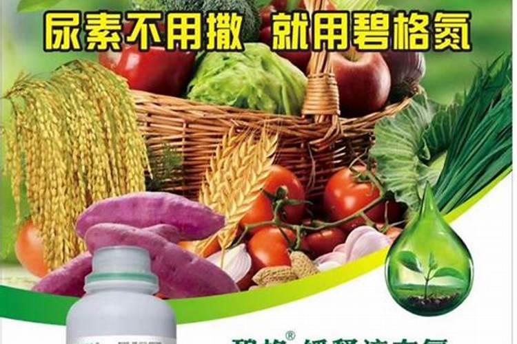 施肥的好处坏处