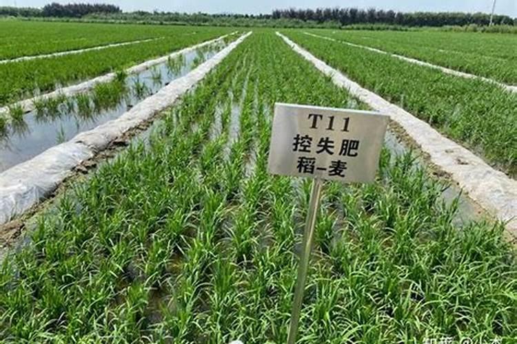 农作物缺氮、磷、钾会出现什么现象？(请分别说明)