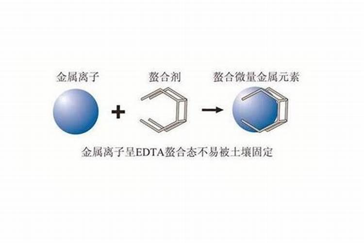 中微量元素肥料有哪些
