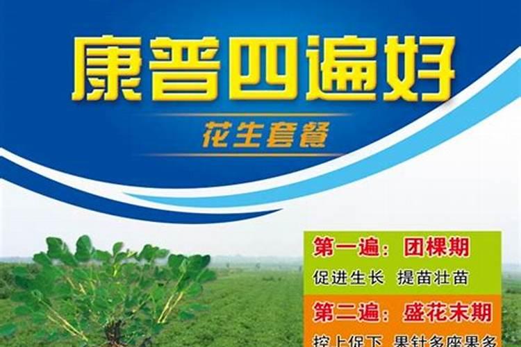 金康普花生专用是正规品牌吗