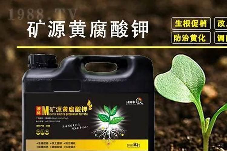 黄腐酸钾夏天能浇花吗