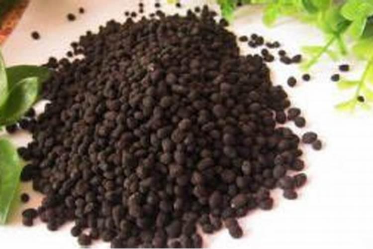 栀子花用什么肥料好？