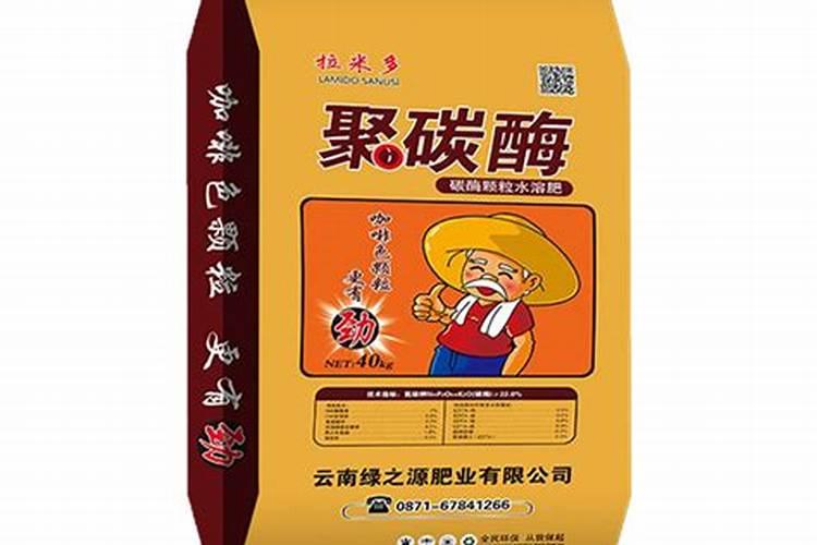 绿萝喜欢什么土壤