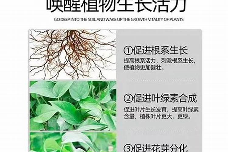 鹿寨化肥总厂产品有哪些