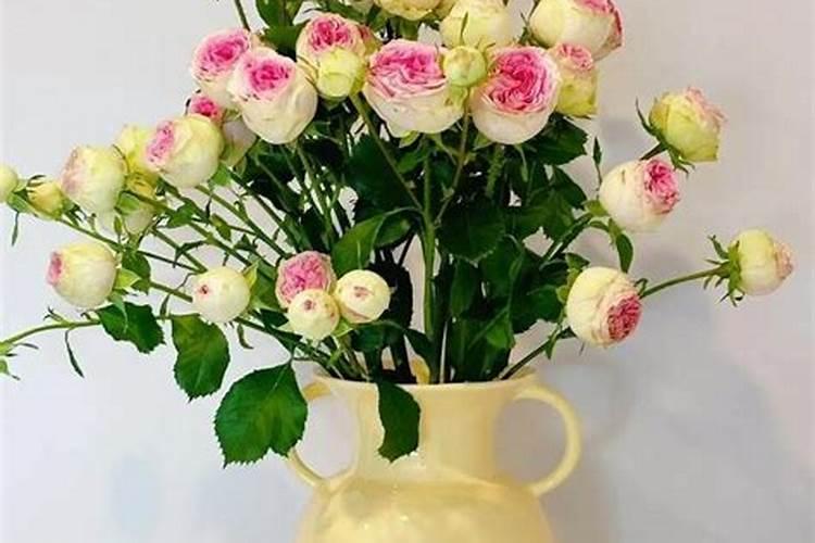 玫瑰花怎么施肥 玫瑰花如何施肥