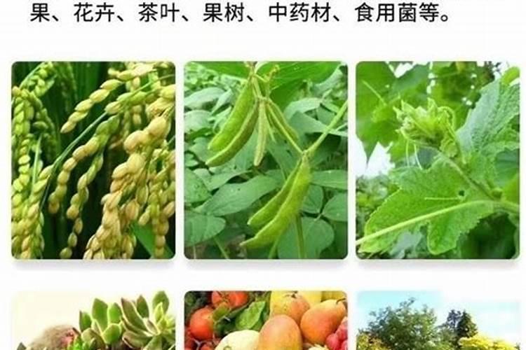 津大盛源肥料排名第几