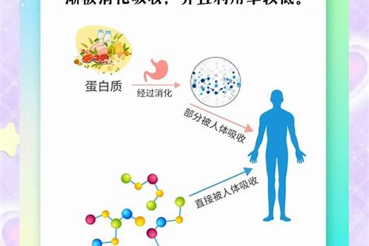 氨基酸和鱼蛋白到底有什么区别,差别在哪里呢？