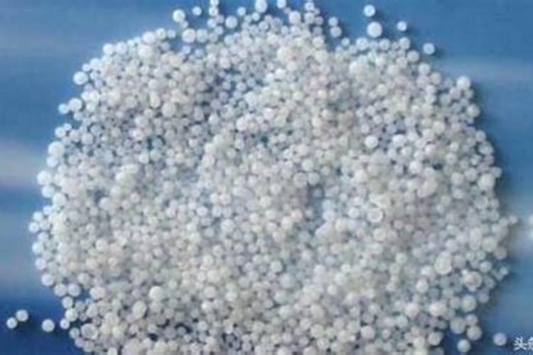 大棚种植玉米注意事项 种植玉米要注意什么