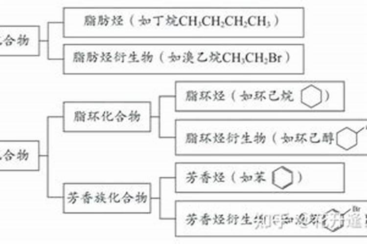 鸿运当头如何施肥