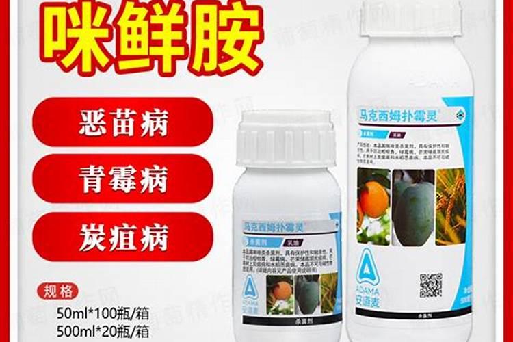 芒果什么时间喷药好？