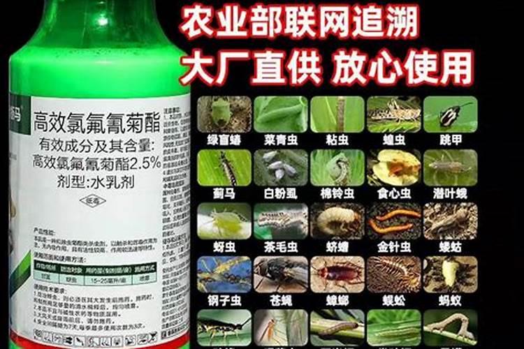 哪些是高效消毒液