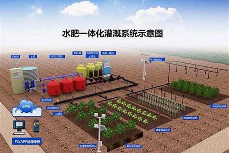 大量元素水溶肥具有什么特点,有什么功能