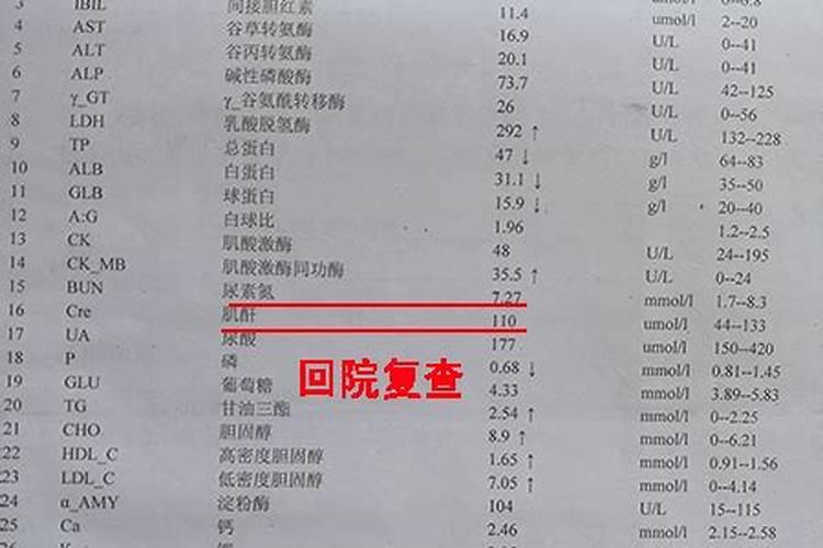 请问肾病病人能吃什么蔬菜？