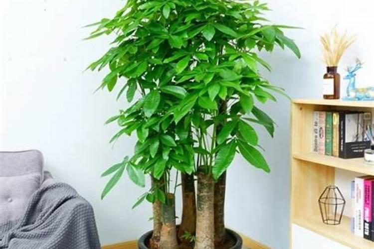 一亩地用多少化肥正常