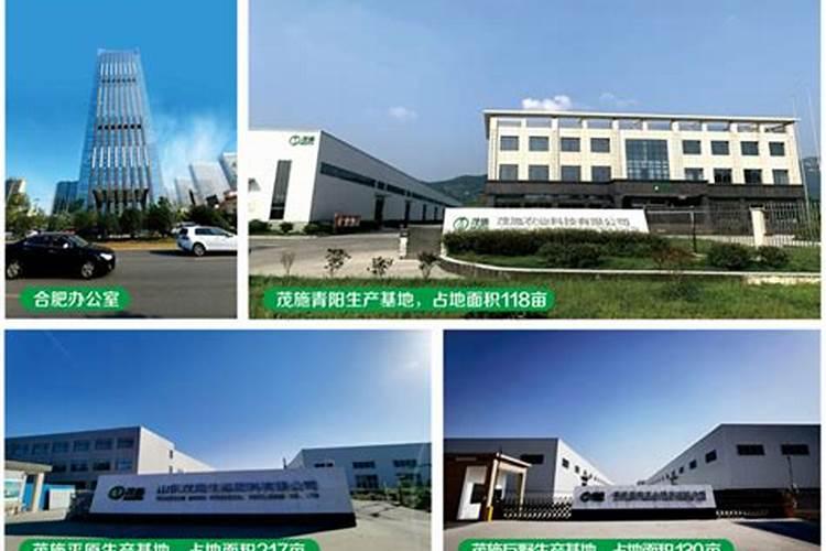 请帮忙提供一下山东省内所有的大型化肥厂名!