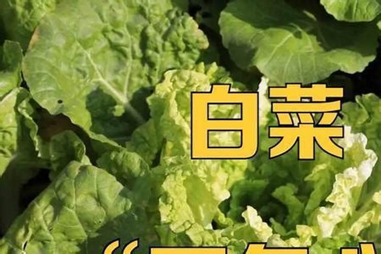 玉米一生喷几次叶面肥