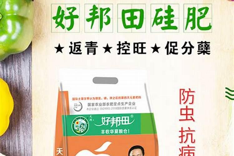 硅肥是什么肥料？硅肥有什么作用？种植农作物如何施用硅肥？