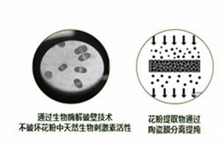 用芋头最快提苗化肥