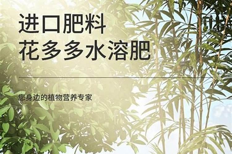 种植兰花过程中用什么方法使兰花变艺