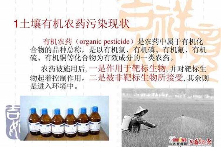 种草莓的地要如何消毒