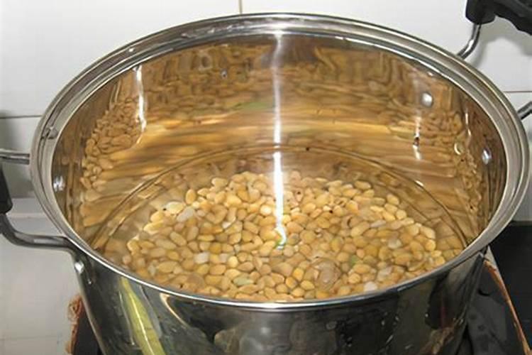 熟大豆可以当肥料吗？