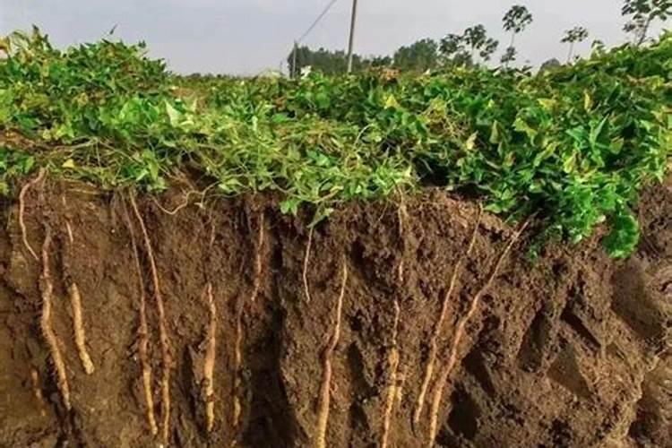 稀土在农村的用法