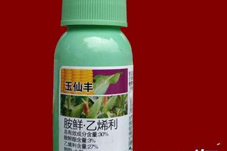玉米叶面肥的最佳配方