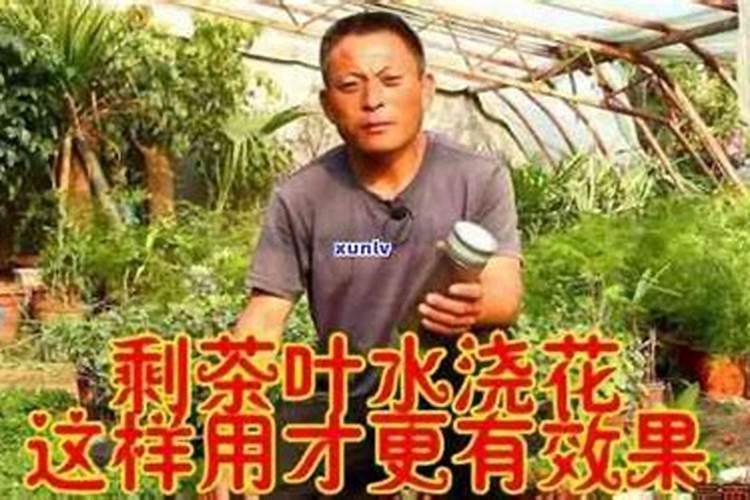 氮肥可以兑水浇花吗