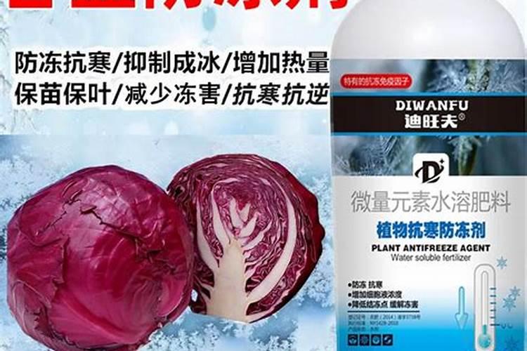 植物防冻剂能兑拢硼肥我磷酸二氢钾施用吗