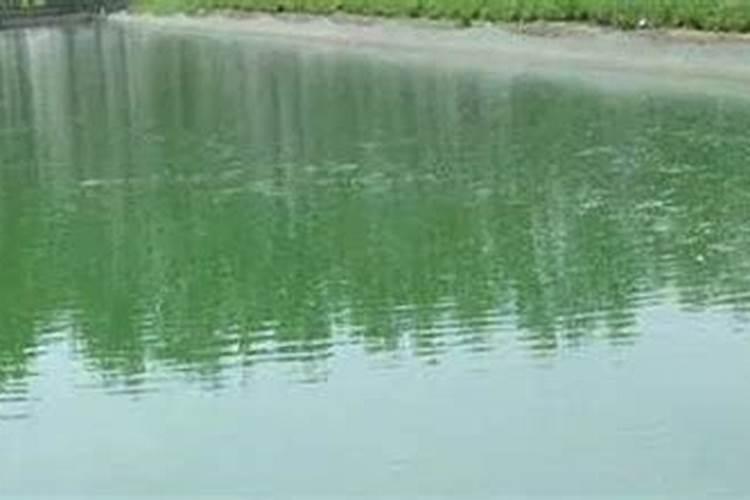 水生植物的肥水管理