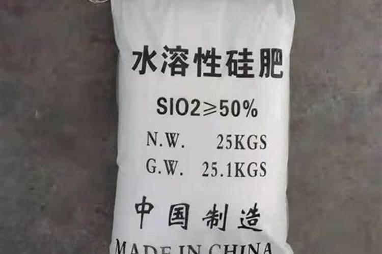 水稻用什么肥料好？