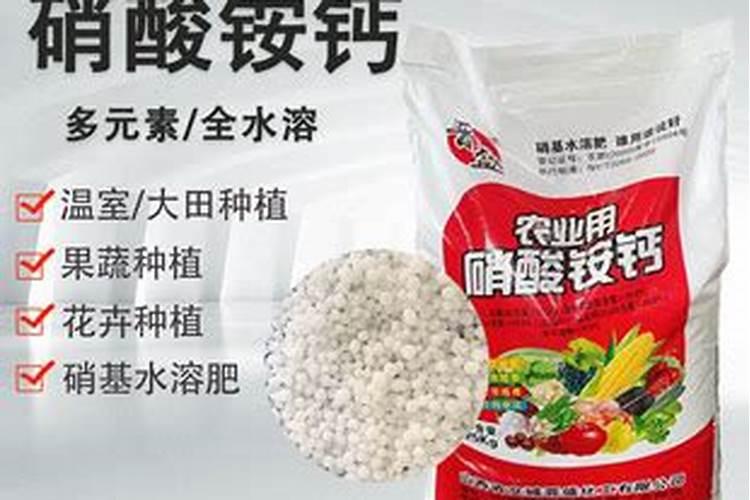 草莓初花期冲什么肥