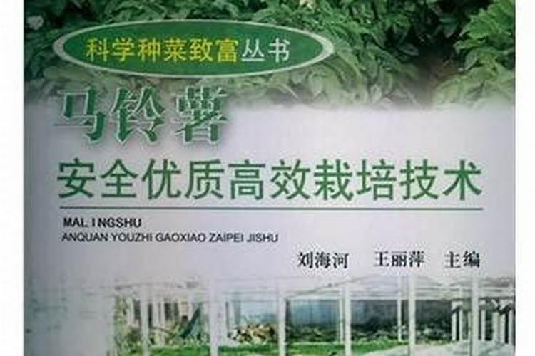 种马铃薯用什么肥最好