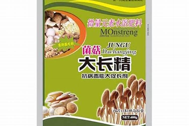 蘑菇怎么种植方法