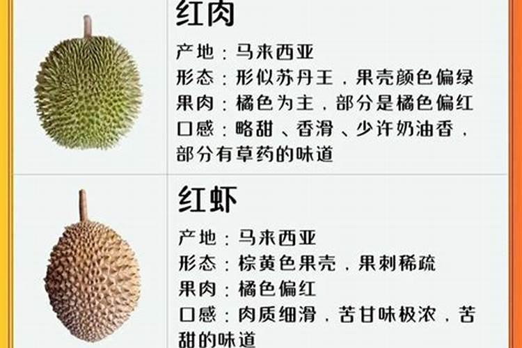 榴莲树要怎么施肥才容易结果