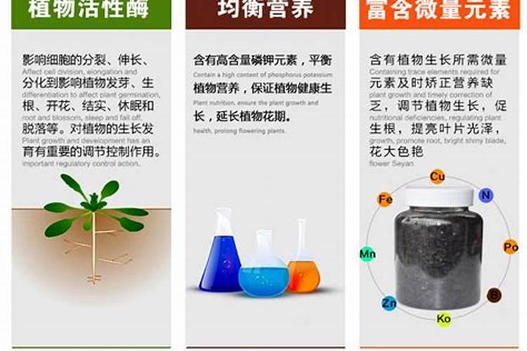 海状元海状元